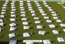 Photo of توزيع 200 سلة غذائية في بوحديدة